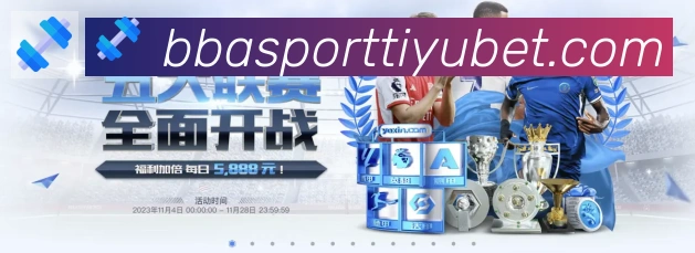 App Interface Preview